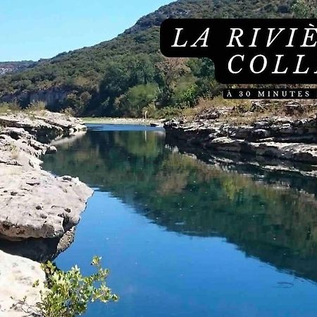 Loft 90 m2 cosy au calme avec terrasse et parking Villa Avignon Eksteriør bilde